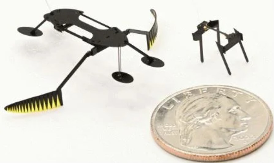 Robot inspirowany owadami (źródło: news.wsu.edu)