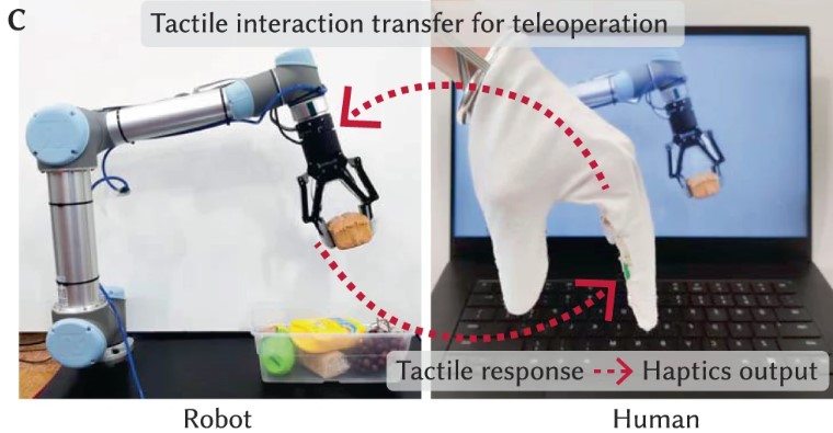 Transfer interakcji fizycznych między ludźmi i robotami (źródło: nature.com)