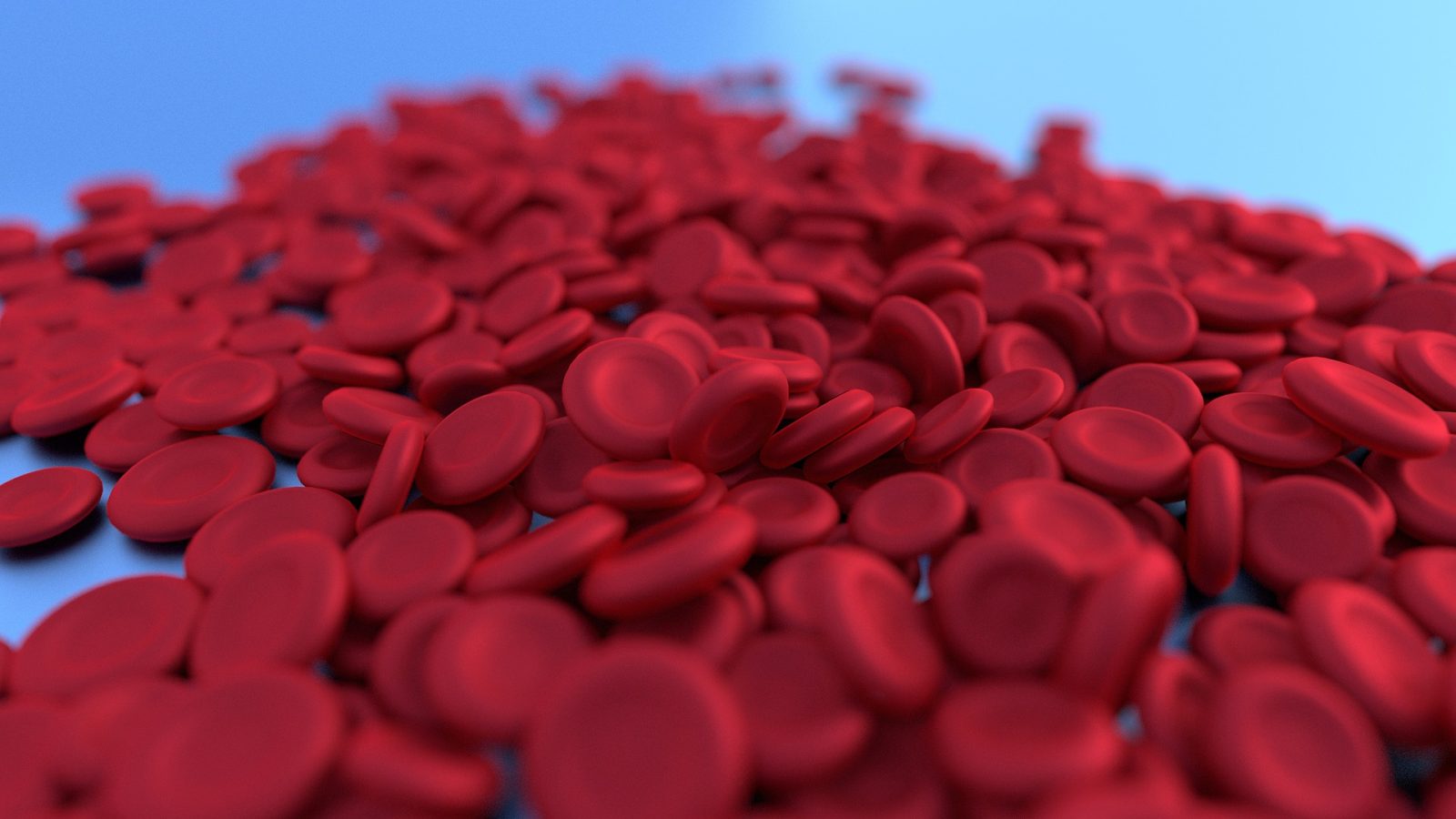 Czerwone krwinki (źródło: Pixabay)