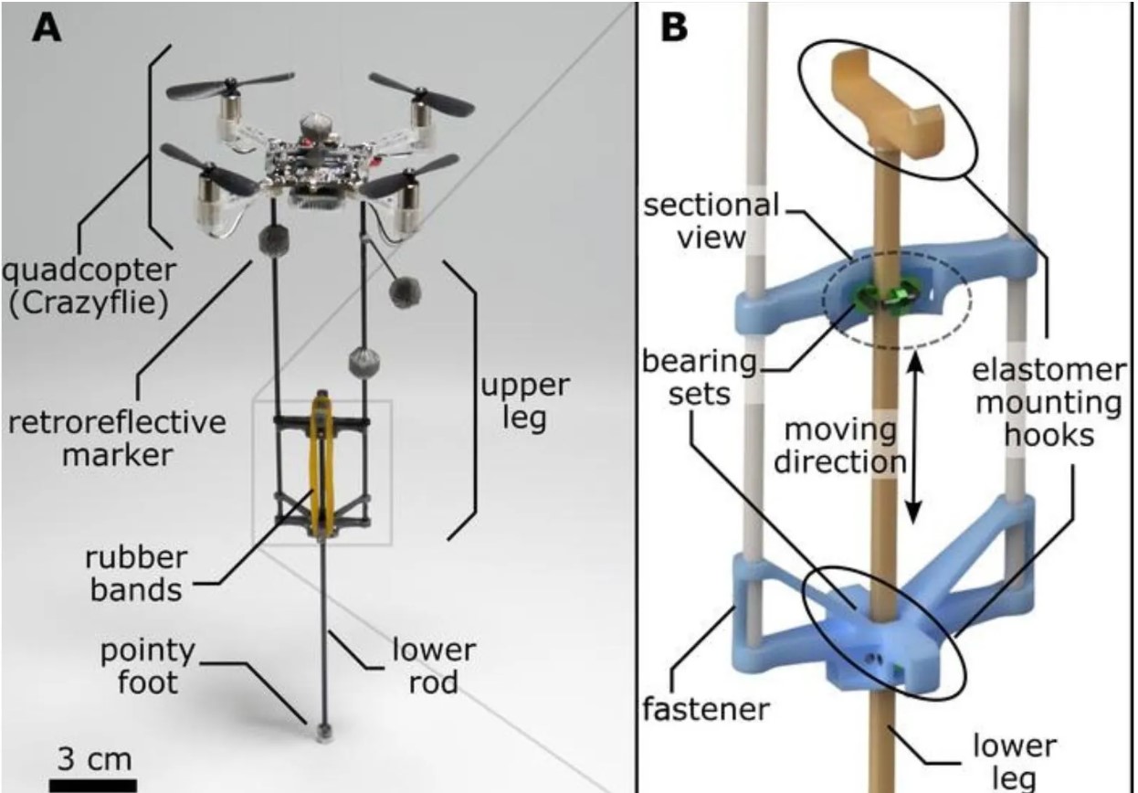 Prototyp robota skaczącego (źródło: science.org)